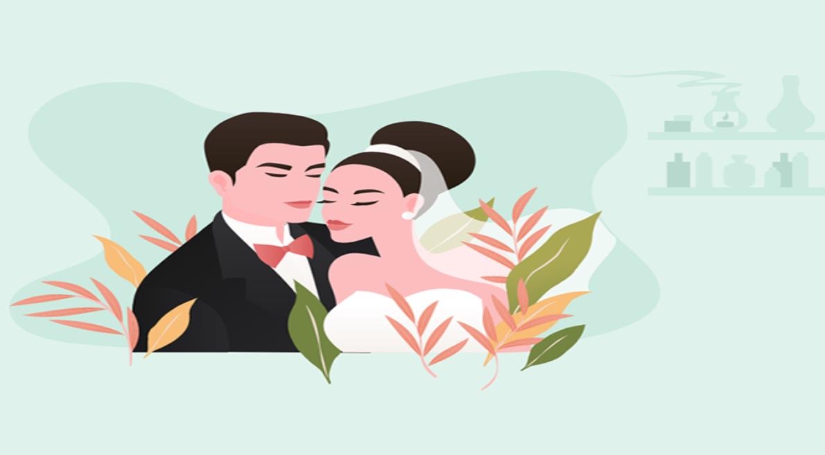 فروشگاه آنلاین مجموعه نرم افزارهای آریا
